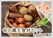 {̑HރZbg
